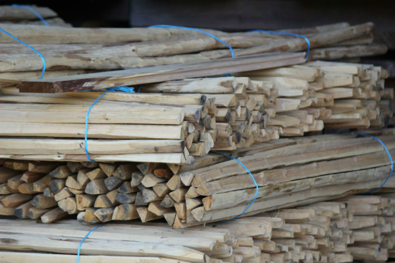 Le châtaignier bois aux multiples avantages bois d'extérieur par